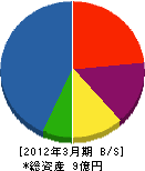 坂本建設 貸借対照表 2012年3月期