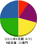 坂田電機 貸借対照表 2012年6月期