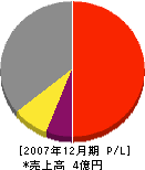 中央 損益計算書 2007年12月期
