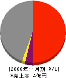 昭和建設 損益計算書 2008年11月期