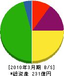北海道総合通信網 貸借対照表 2010年3月期