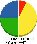 花塚石材店 貸借対照表 2010年10月期