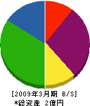 丸島運送店 貸借対照表 2009年3月期