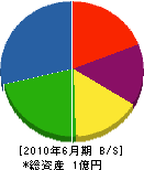 近畿花壇 貸借対照表 2010年6月期