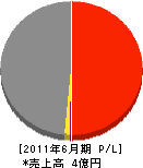 辻村建設 損益計算書 2011年6月期