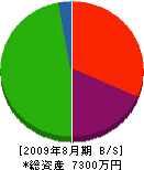 相武 貸借対照表 2009年8月期