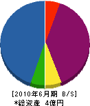 堀内工務店 貸借対照表 2010年6月期
