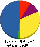 松本組 貸借対照表 2010年7月期