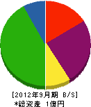瀧田興業 貸借対照表 2012年9月期