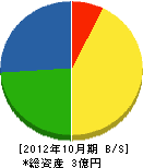 花塚石材店 貸借対照表 2012年10月期