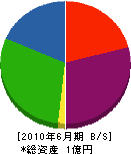 鳥井原電気 貸借対照表 2010年6月期