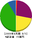 ヒロキタ 貸借対照表 2009年4月期