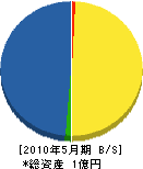 栗田商事 貸借対照表 2010年5月期