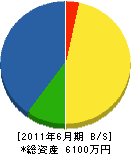 村岡電気商会 貸借対照表 2011年6月期