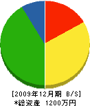 田坂工務店 貸借対照表 2009年12月期