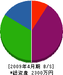 岡田水道工業所 貸借対照表 2009年4月期