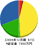 平石材工業 貸借対照表 2009年12月期