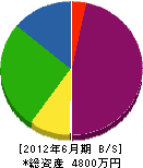 斎藤設備工業所 貸借対照表 2012年6月期