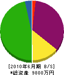 松江建設工業 貸借対照表 2010年6月期