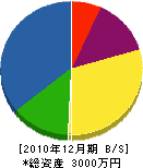 Ｈ＆Ｓ企画 貸借対照表 2010年12月期
