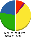 藤田建設興業 貸借対照表 2011年7月期