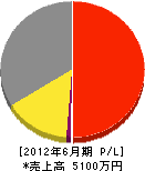 岡田電機 損益計算書 2012年6月期