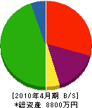 神龍 貸借対照表 2010年4月期