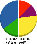 辻板金工業 貸借対照表 2007年12月期