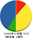 辺見商会 貸借対照表 2009年12月期