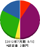 北海道カーボナイズ 貸借対照表 2012年7月期