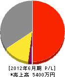 岸田工業 損益計算書 2012年6月期