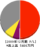 松尾電工 損益計算書 2009年12月期