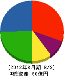 伊田テクノス 貸借対照表 2012年6月期
