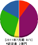 北海道カーボナイズ 貸借対照表 2011年7月期