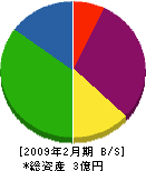 平沢塗装 貸借対照表 2009年2月期