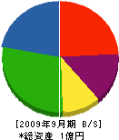 東栄電気 貸借対照表 2009年9月期