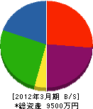 石川電気商会 貸借対照表 2012年3月期
