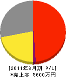 大阪装備工芸 損益計算書 2011年6月期