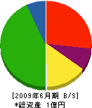 貝塚興業 貸借対照表 2009年6月期
