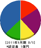 大川建設 貸借対照表 2011年9月期