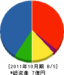 三恵電業 貸借対照表 2011年10月期