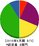 大阪創美 貸借対照表 2010年6月期