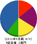 齋藤土木 貸借対照表 2012年9月期