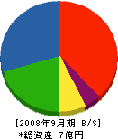 柴田電気工事 貸借対照表 2008年9月期