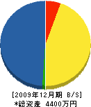渡辺建設 貸借対照表 2009年12月期