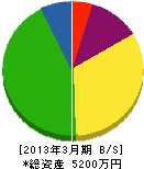 渡辺巧芸社 貸借対照表 2013年3月期