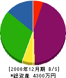 西澤重機 貸借対照表 2008年12月期