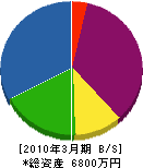 前川組 貸借対照表 2010年3月期