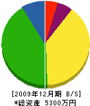 大河原組 貸借対照表 2009年12月期
