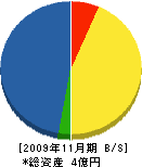 庄田組 貸借対照表 2009年11月期